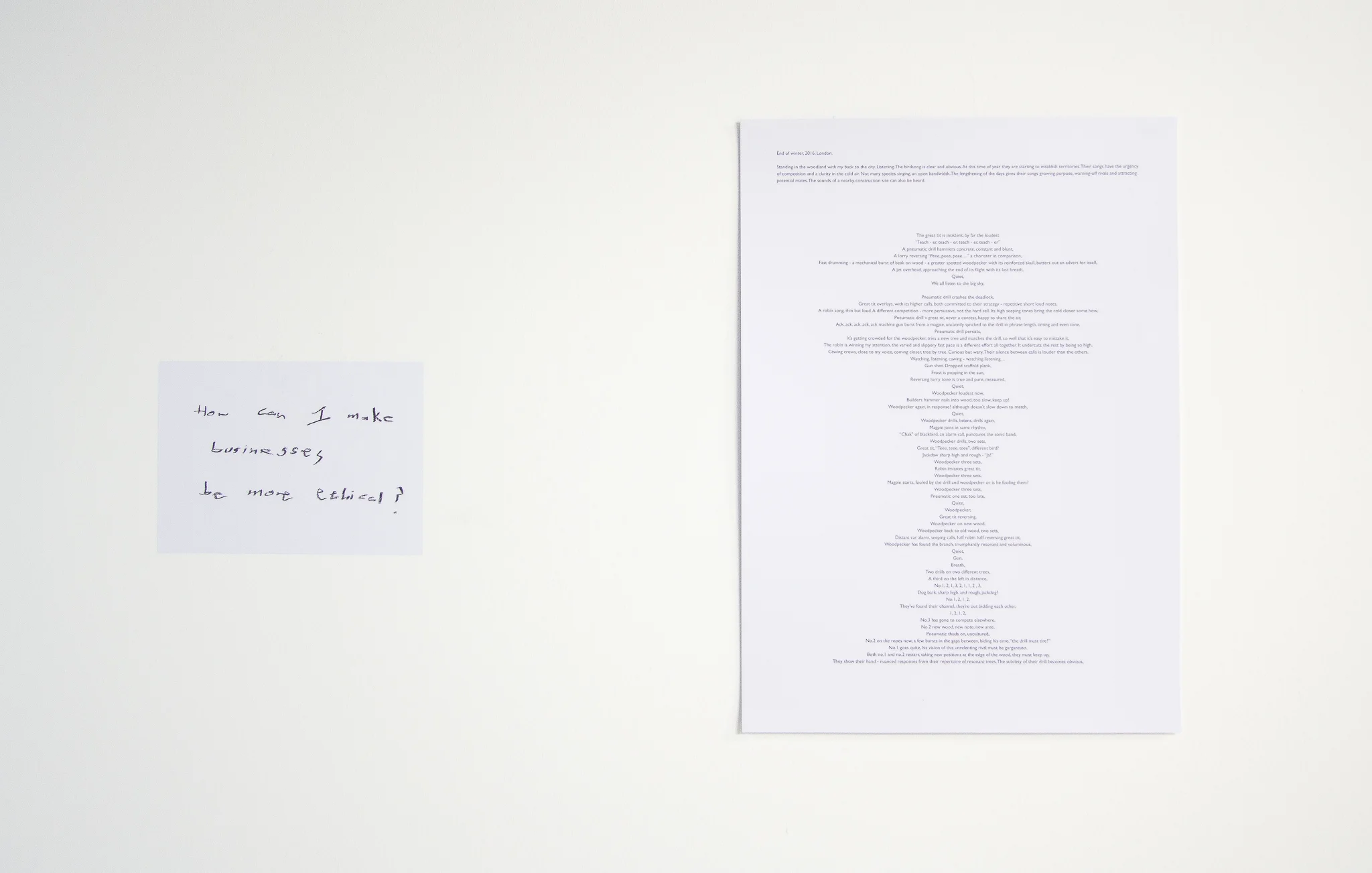 Installation images of Marcus Coates at Workplace | London