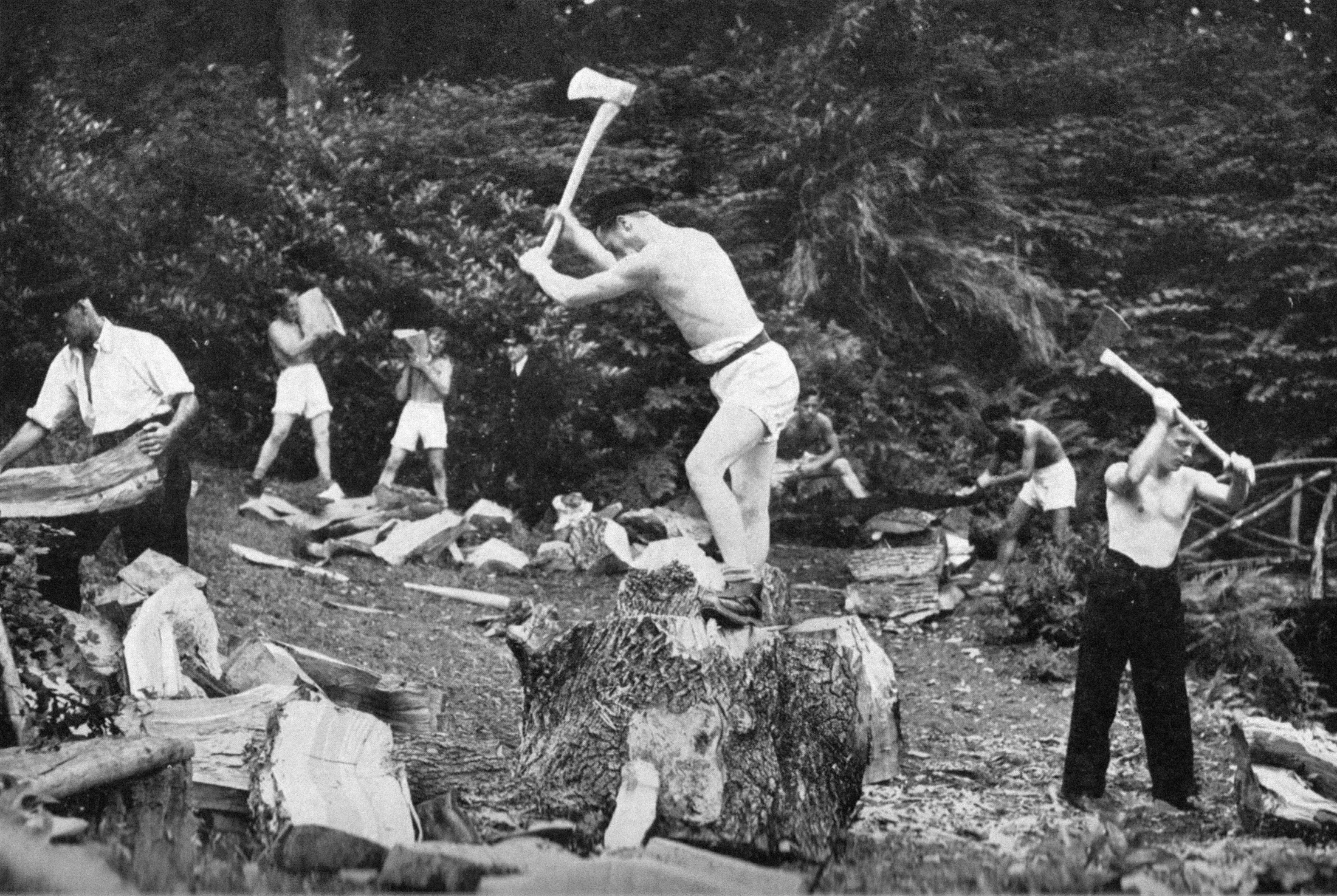 an antique black and white photograph of white men stripped topless engaging in physical activity, in the centre a man holds an axe aloft to split logs