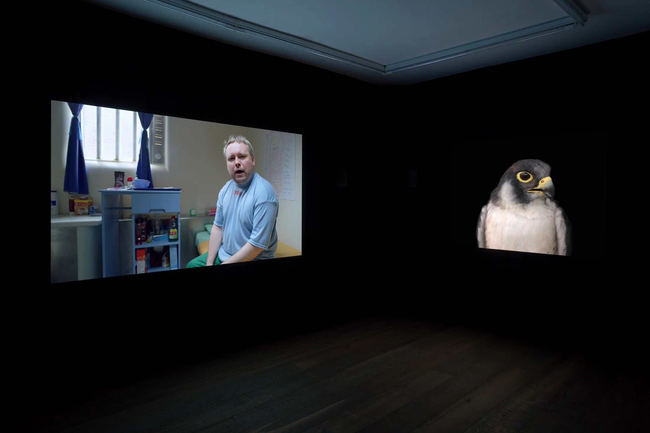 Installation photographs of Matt Stokes' exhibition 'This Liberty' at Workplace | London