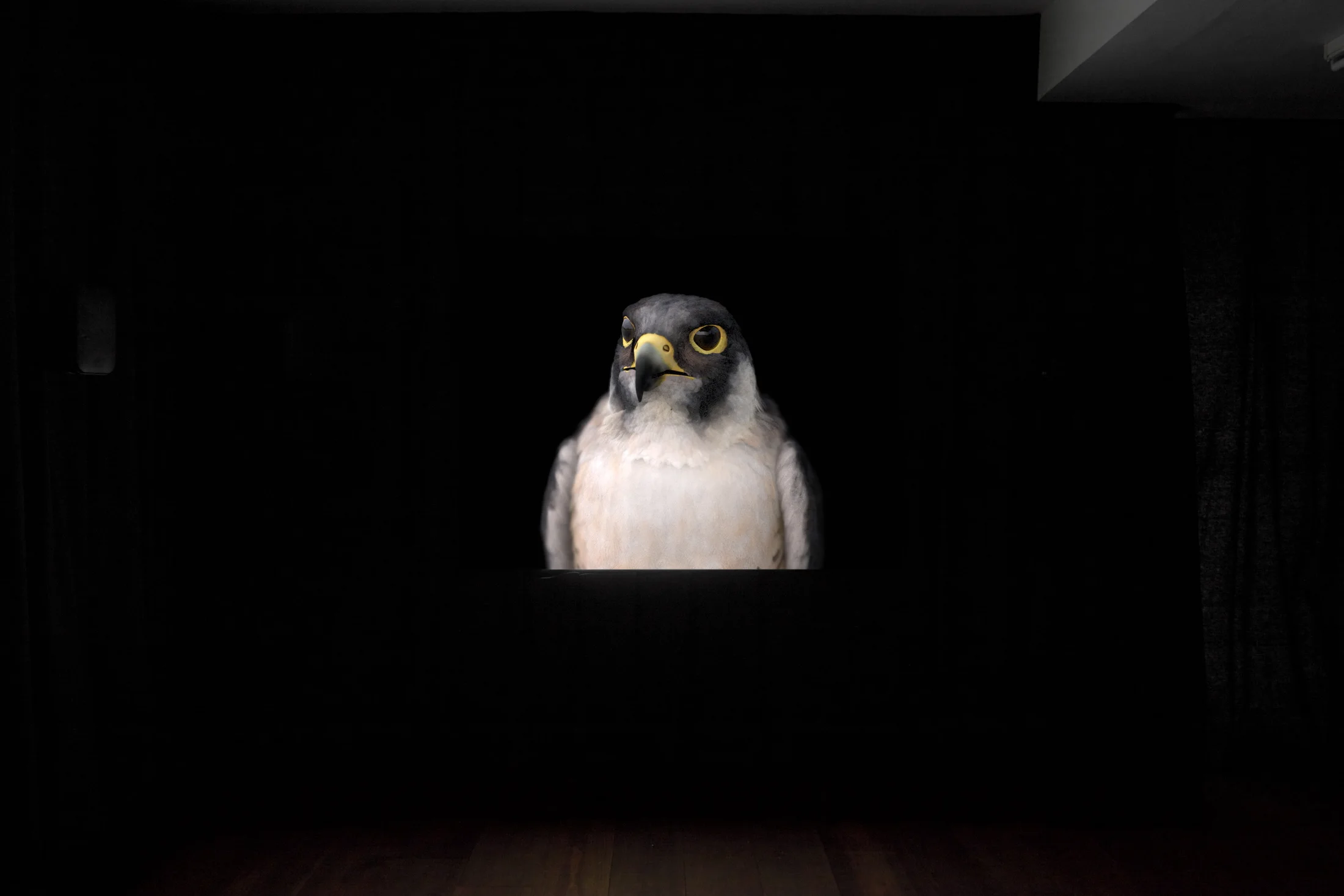 Installation photographs of Matt Stokes' exhibition 'This Liberty' at Workplace | London