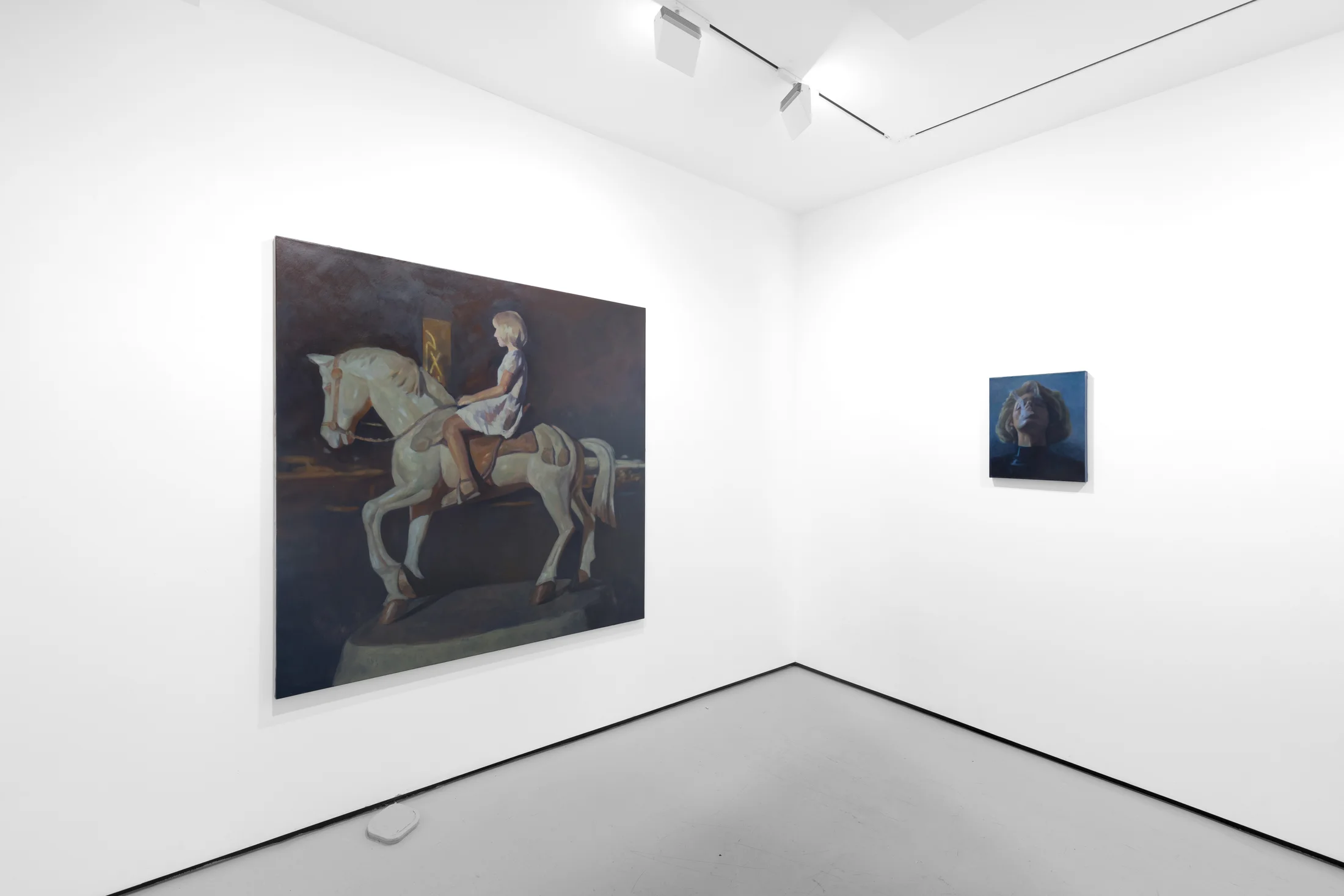 Instalation view of Wang Pei's paintings oin a white walled gallery space