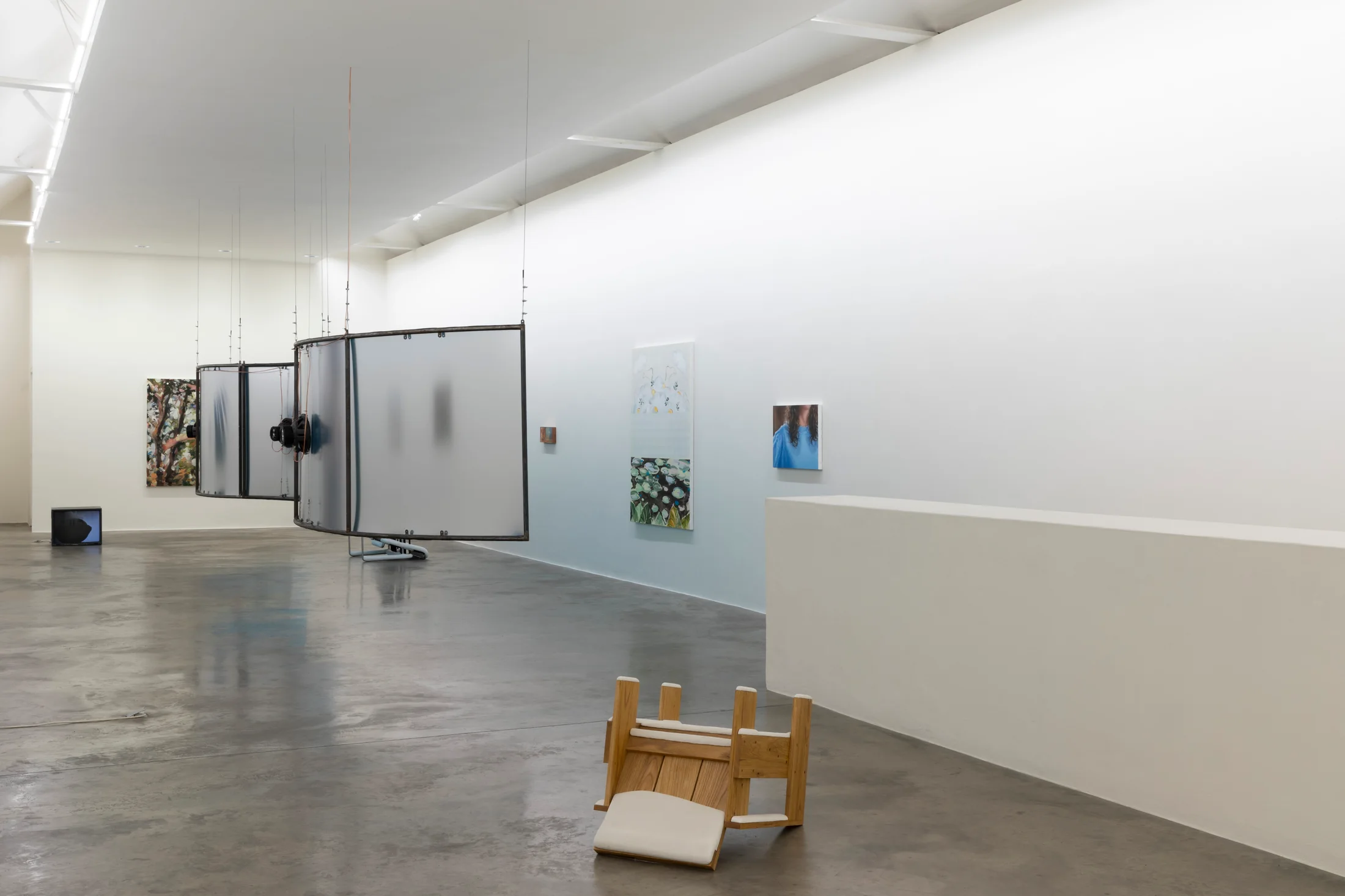 Installation view of 'Pictures Of You' - curated by Miles Thurlow, at Kerlin Gallery, Dublin