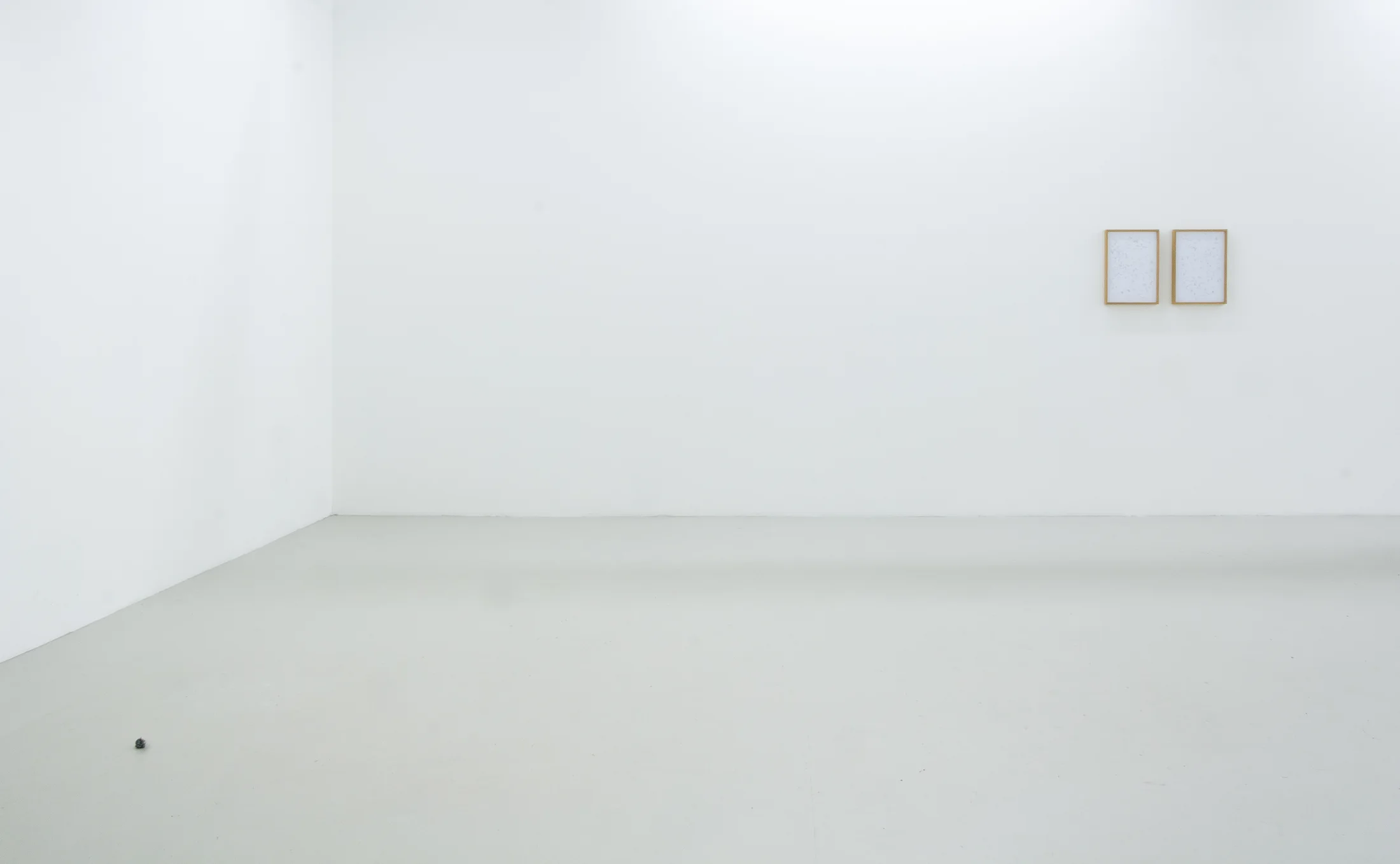 Installation shots of 'Reoccurring Rose Garden' by Richard Rigg at Workplace | London