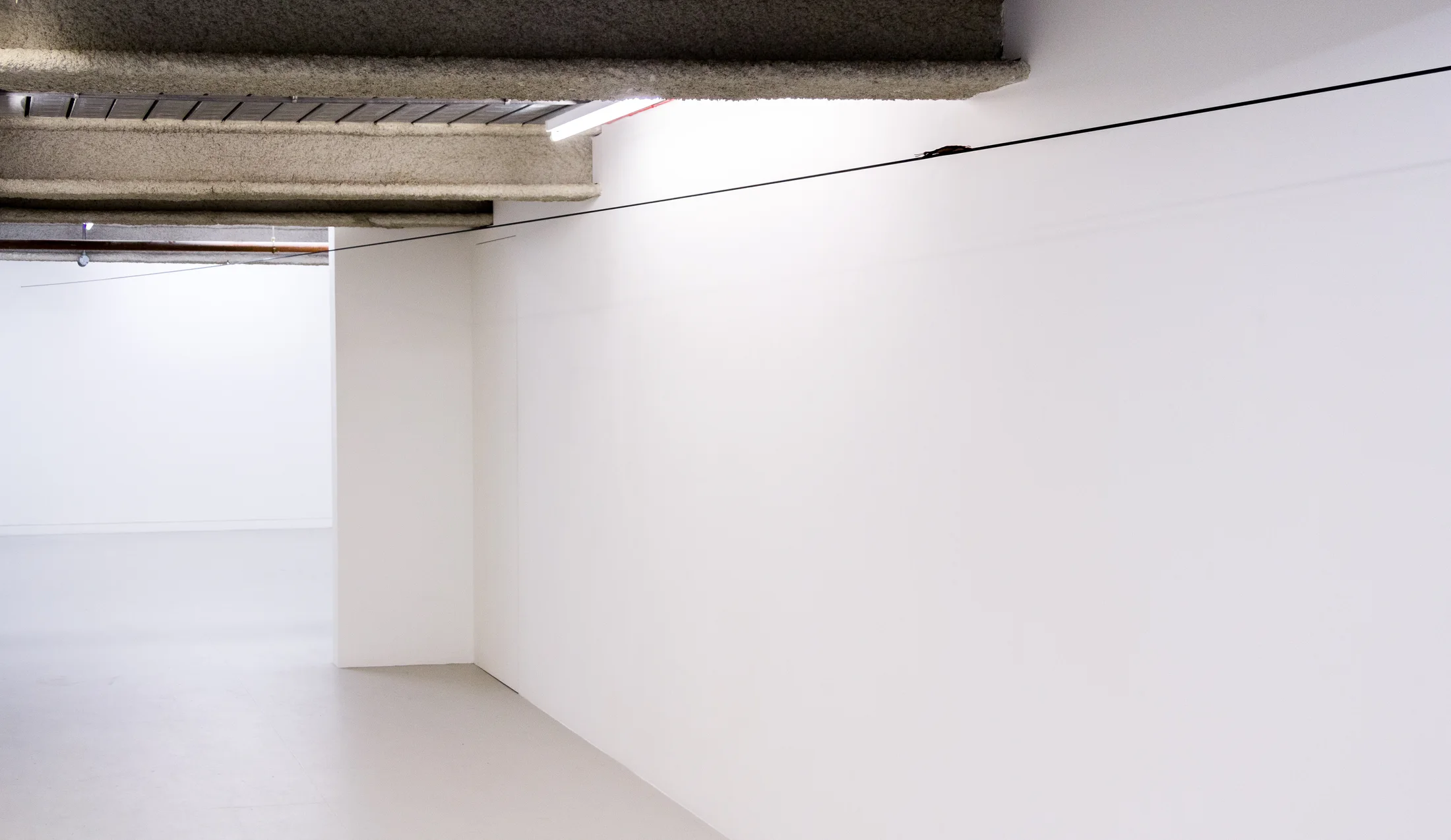 Installation shots of 'Reoccurring Rose Garden' by Richard Rigg at Workplace | London