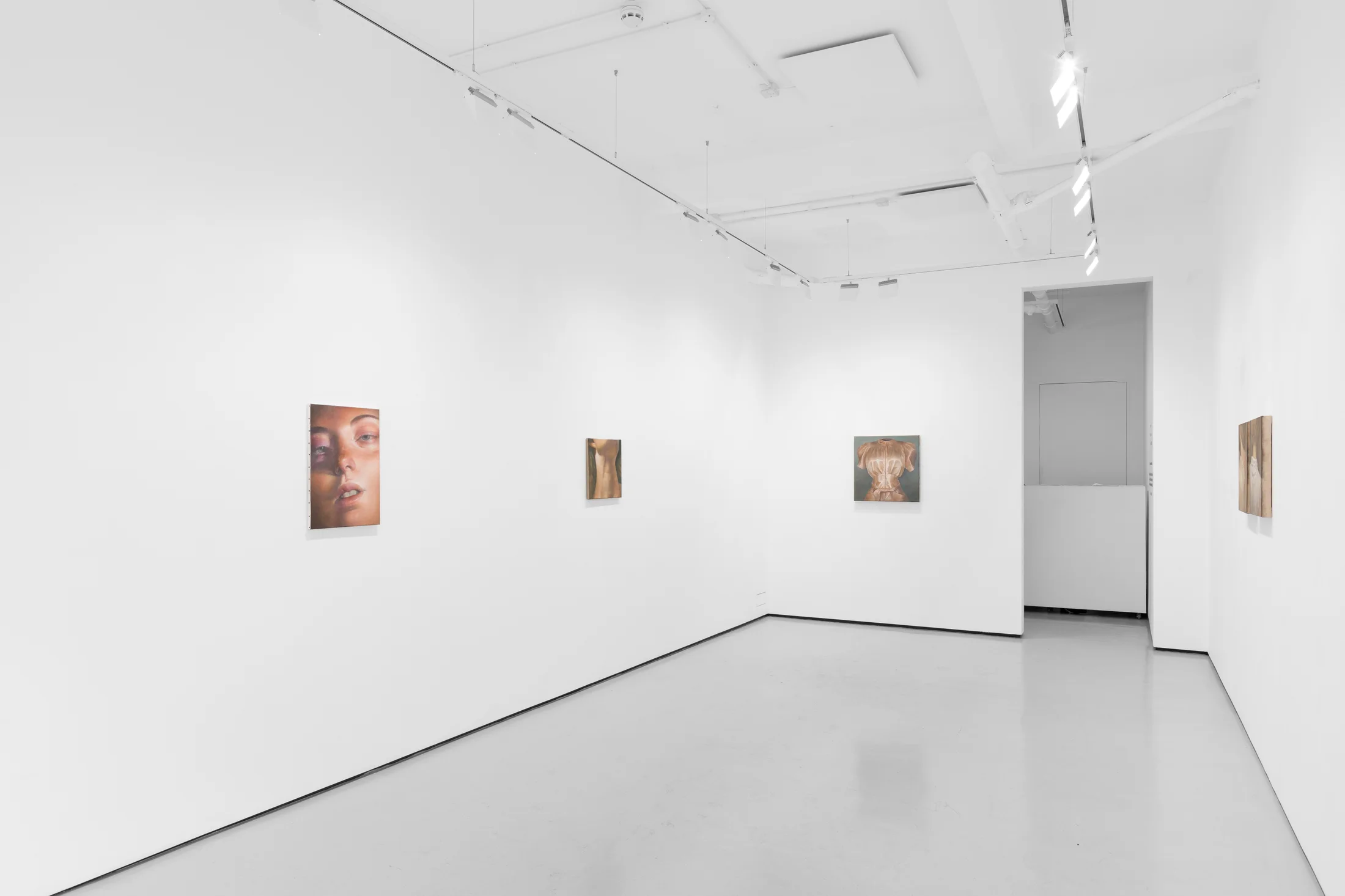 Installation views of Wang Pei's exhibition 'Sertraline' at Workplace London