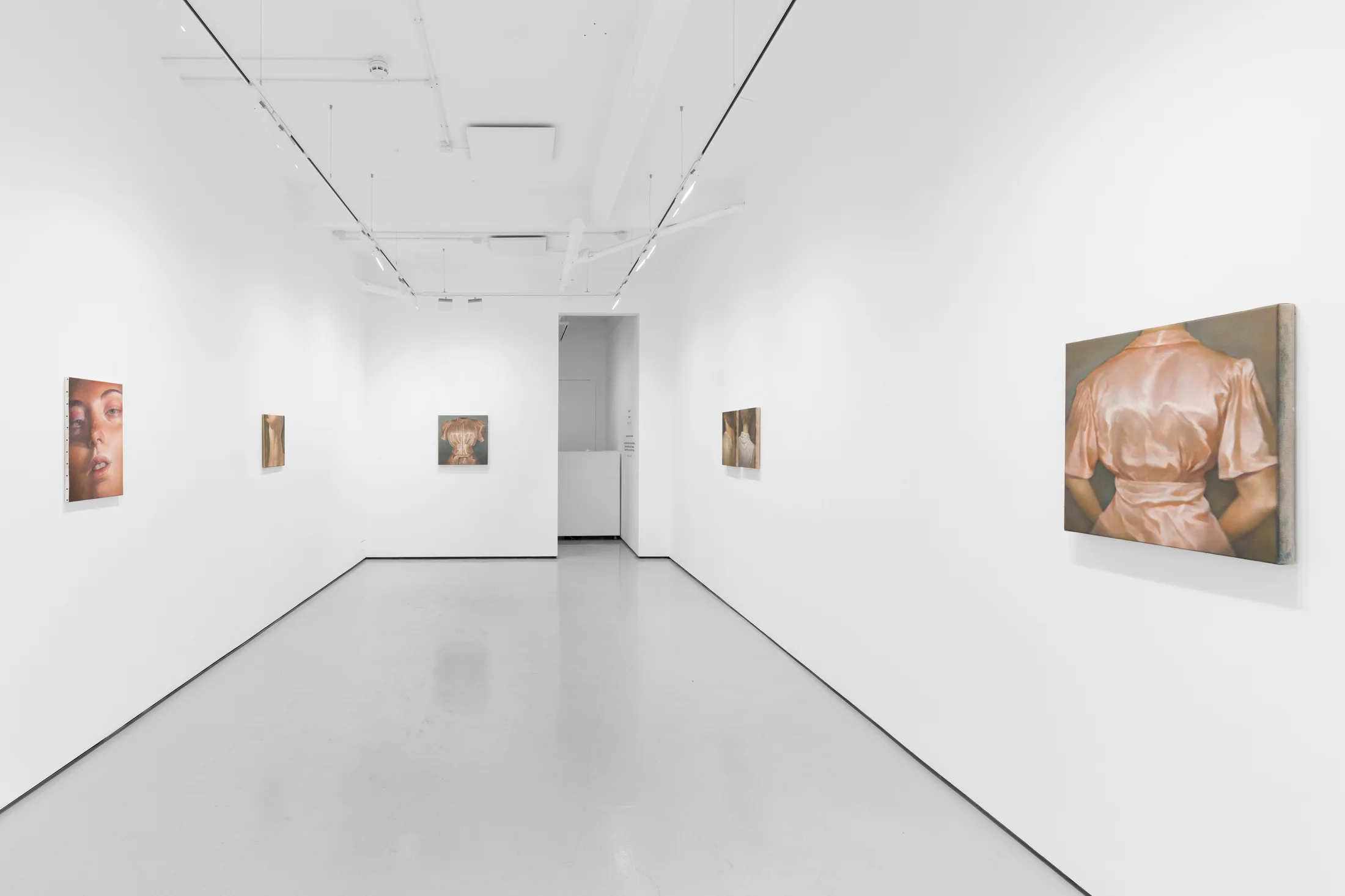 Installation views of Wang Pei's exhibition 'Sertraline' at Workplace London