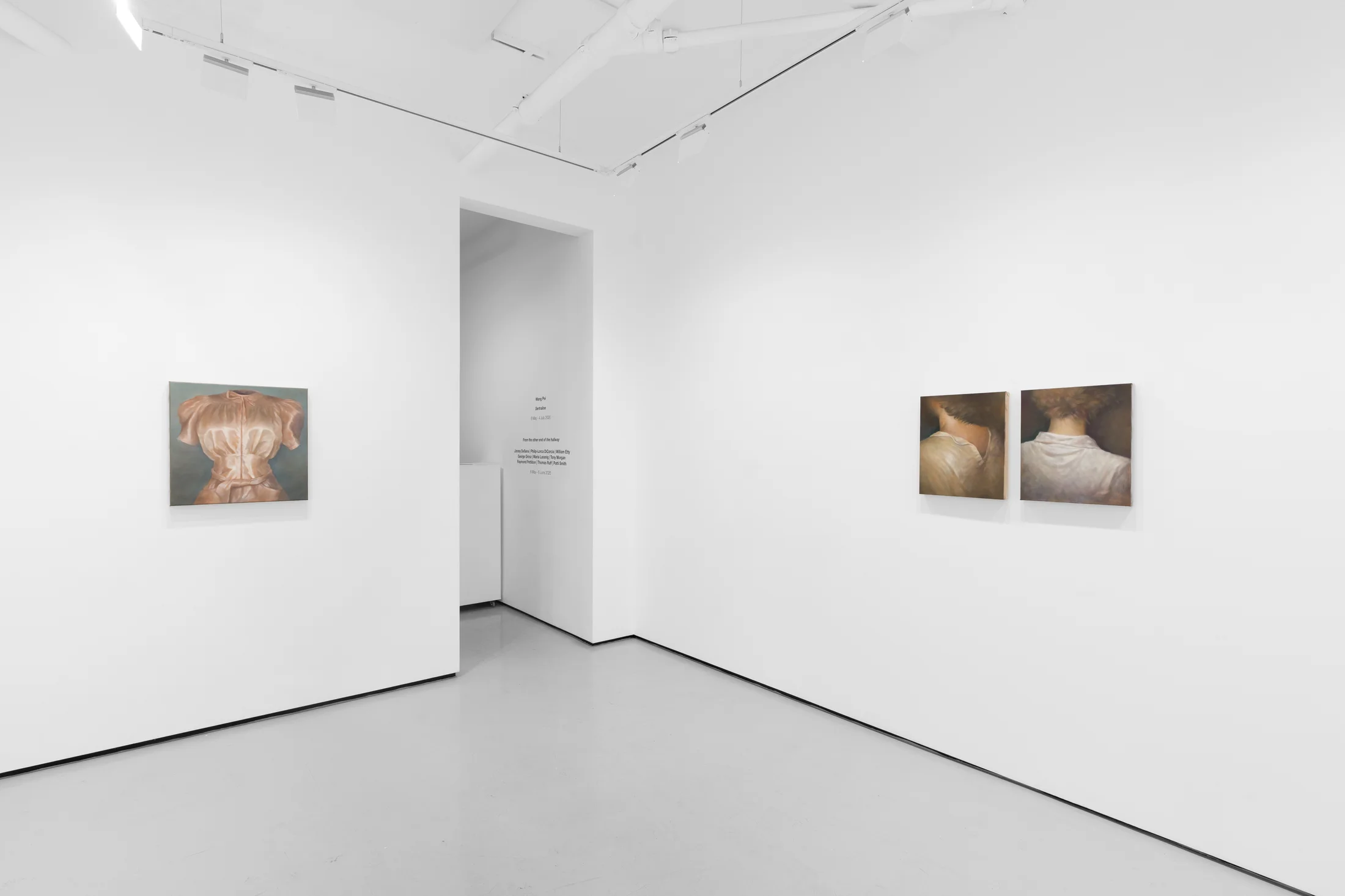 Installation views of Wang Pei's exhibition 'Sertraline' at Workplace London