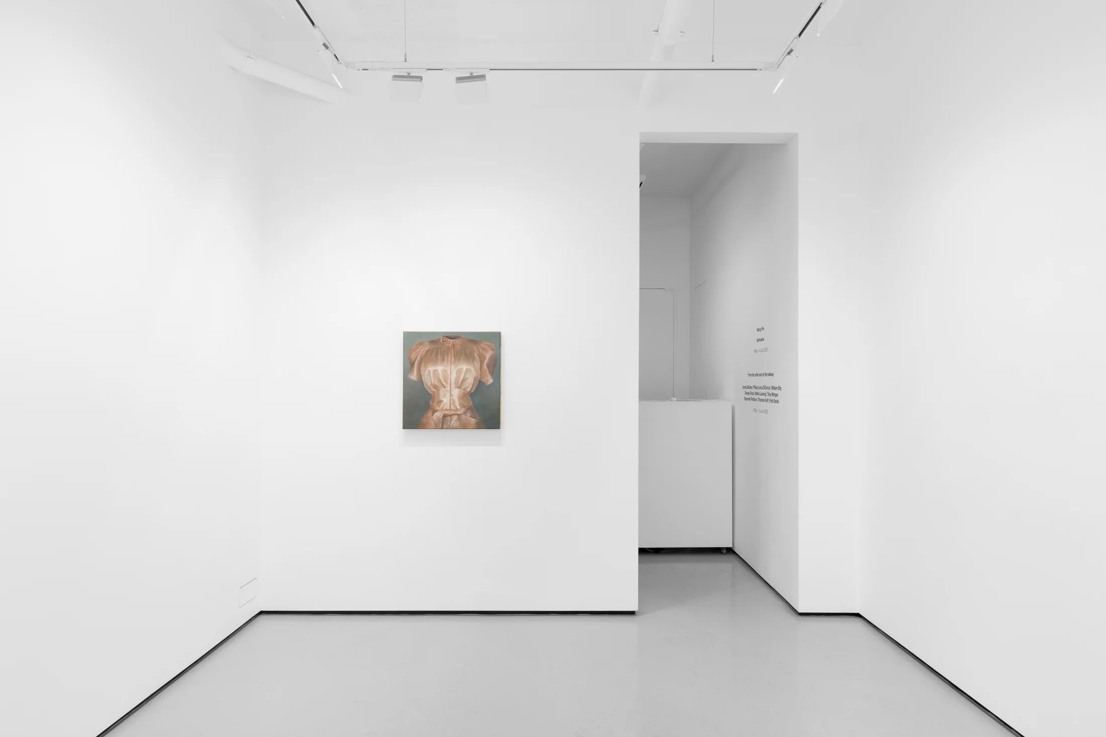 Installation views of Wang Pei's exhibition 'Sertraline' at Workplace London