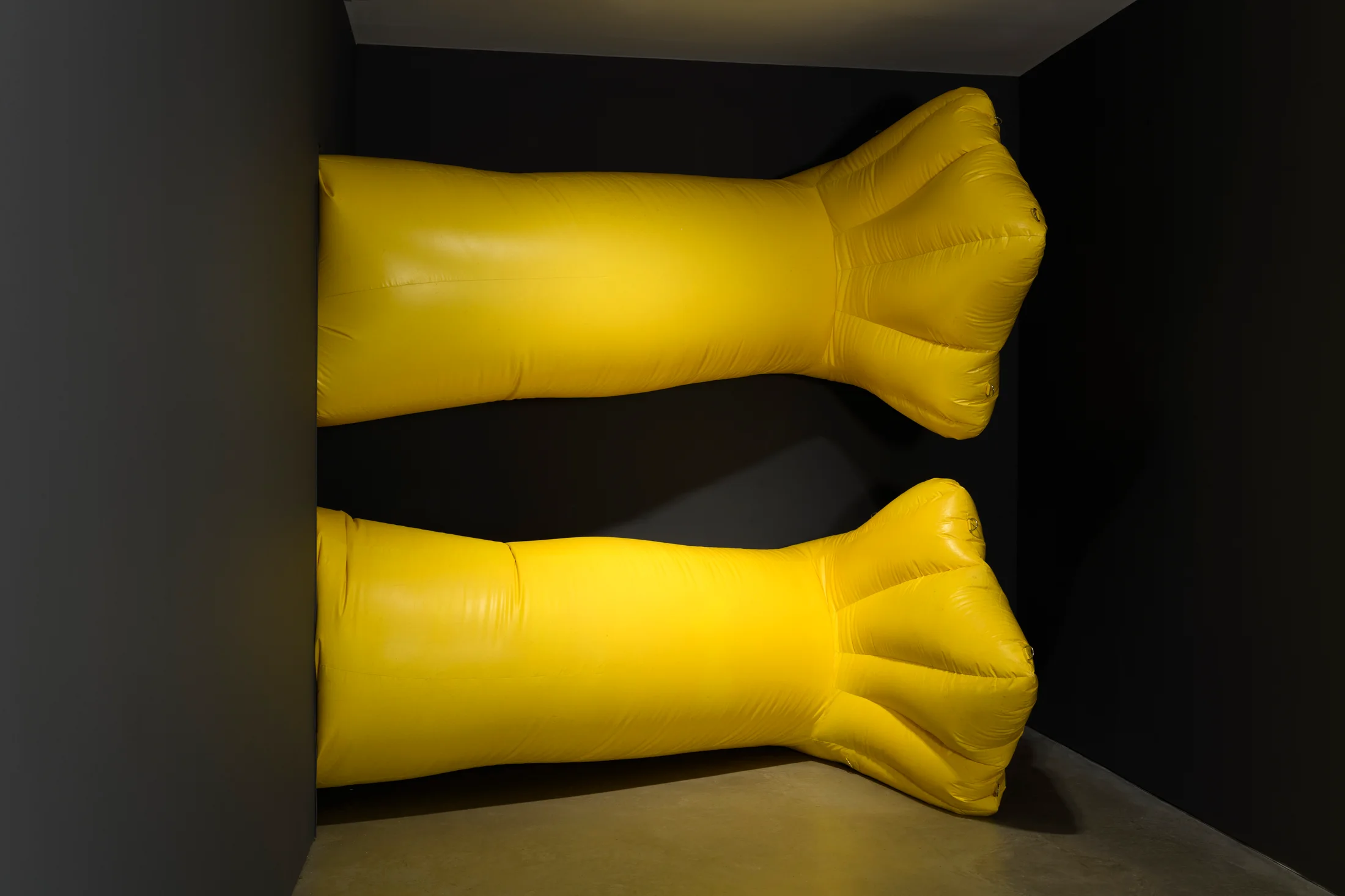 Installation view of Simeon Barlclay's exhibition Farewell Sweet Innocence at John Hansard Gallery Southampton 