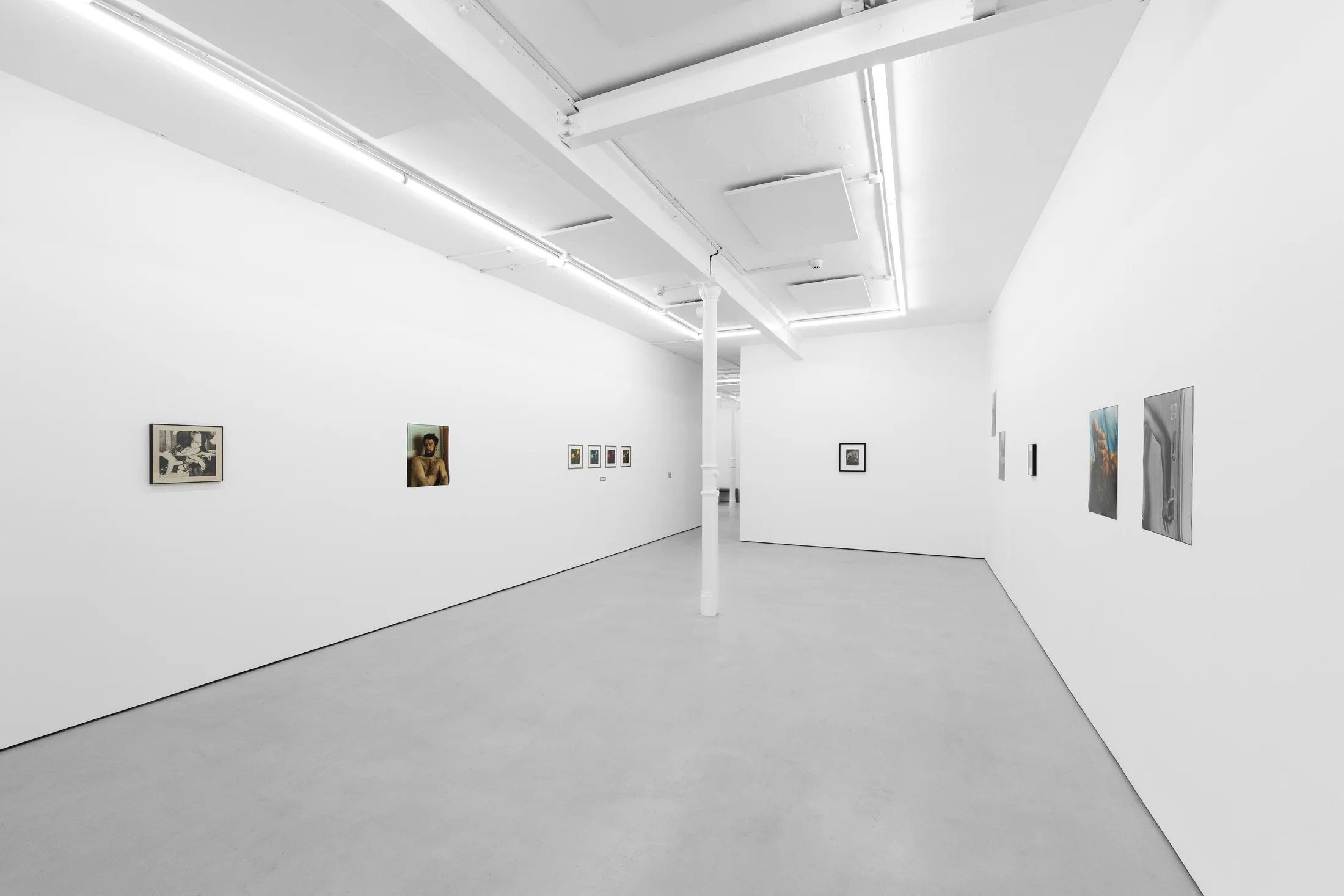 installation photos of 'Still Moving' at Workplace | Newcastle