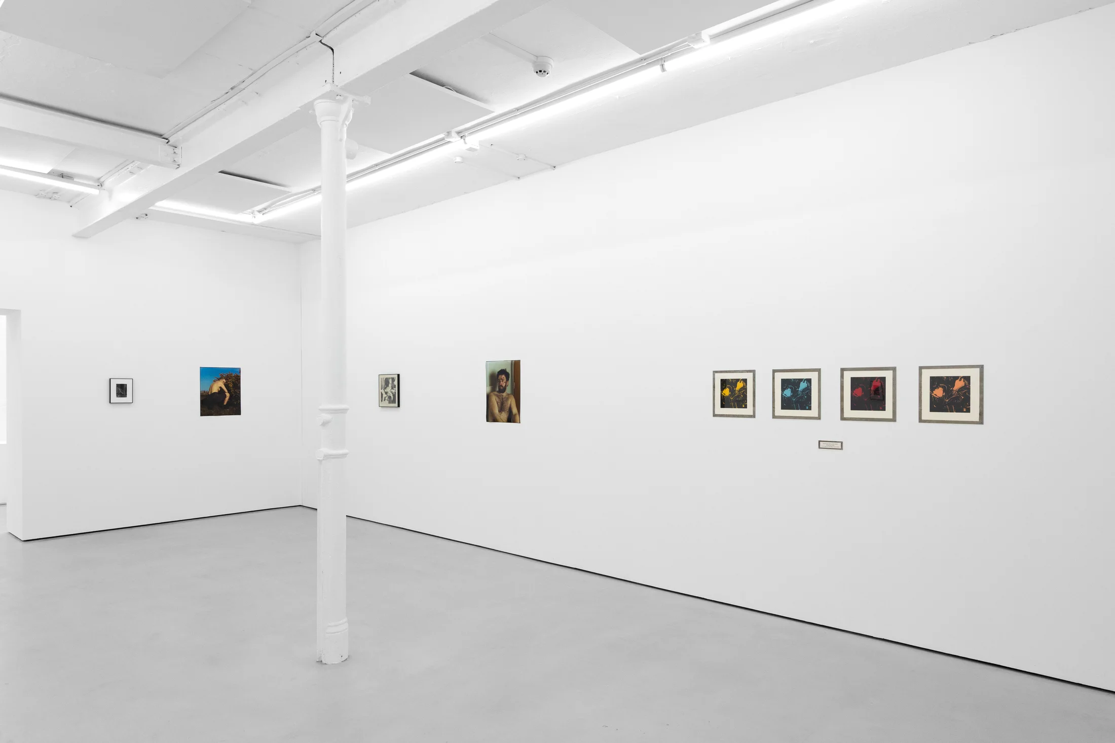 installation photos of 'Still Moving' at Workplace | Newcastle