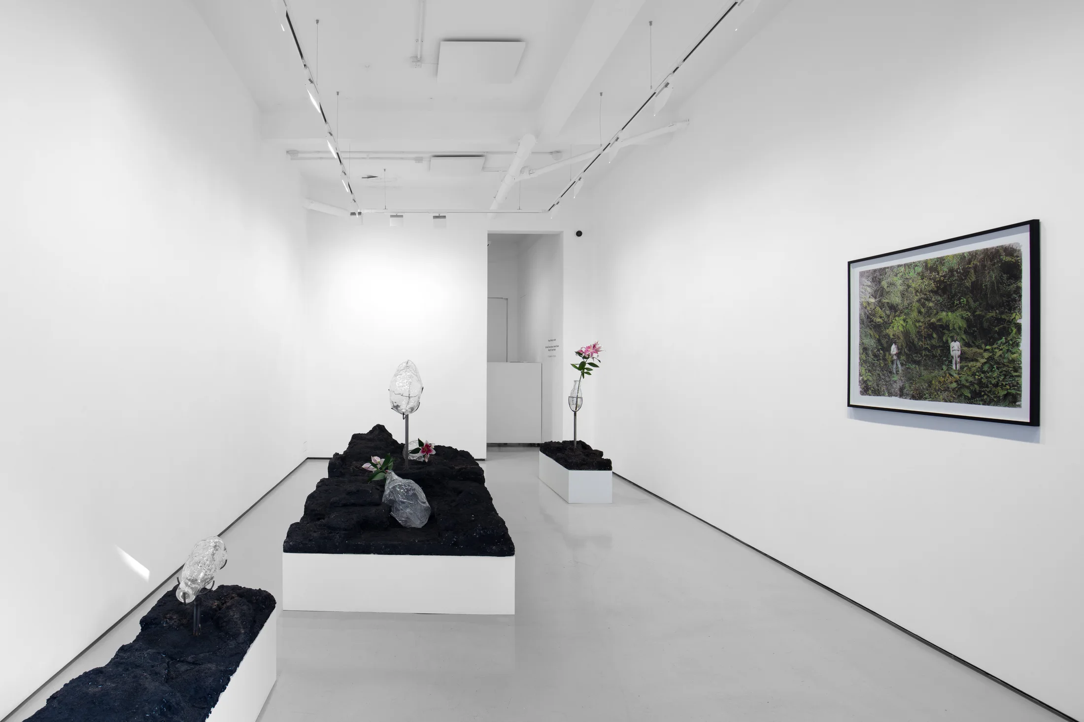 Installation view of Though floating on water at Workplace