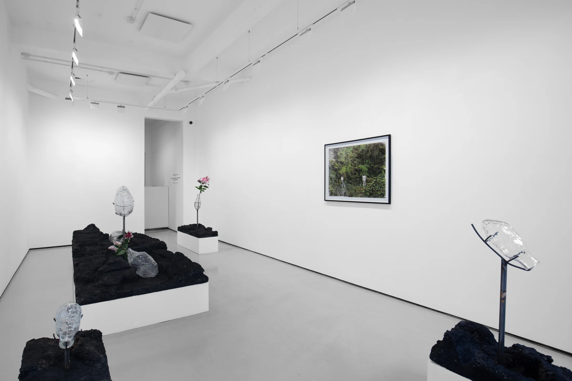 Installation view of Though floating on water at Workplace