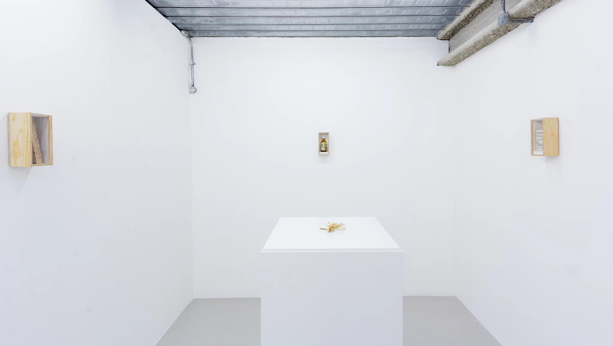 Installation photographs of Joseph Beuys: Wirtschaftswert at Workplace | London