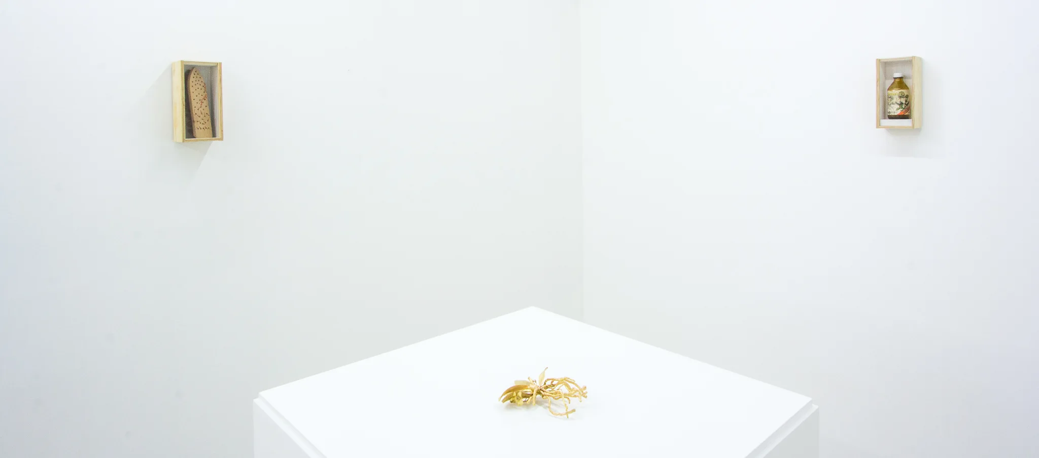 Installation photographs of Joseph Beuys: Wirtschaftswert at Workplace | London