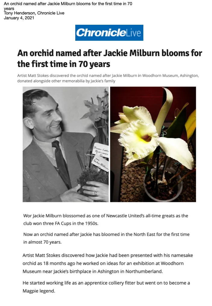 An orchid named after Jackie Milburn blooms for the first time in 70 years Tony Henderson, Chronicle Live
