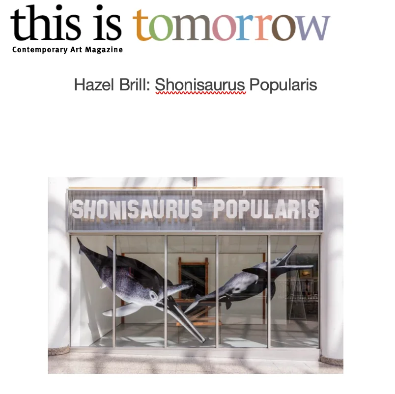 Contemporary Art Magazine Article cover about Hazel Brill with an image of an art installation in a gallery window with suspended whale sculptures