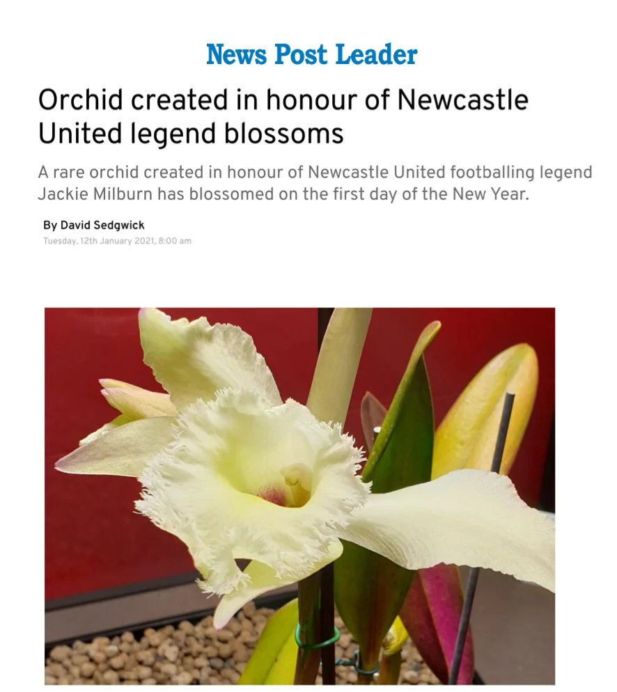 Orchid created in honour of Newcastle United legend blossoms David Sedgwick, News Post Leader
January 12, 2021